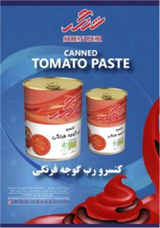 شنگر