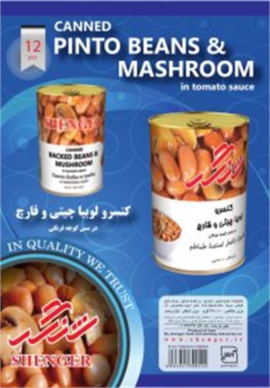 شنگر
